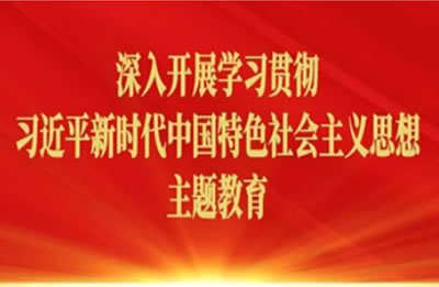 国药医疗党委组织召开学习贯彻习近平新时代中国特色社会主义思想主题教育调研成果专题交流研讨会