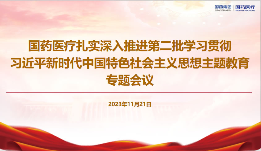 国药医疗党委组织召开扎实深入推进第二批主题教育工作推进会