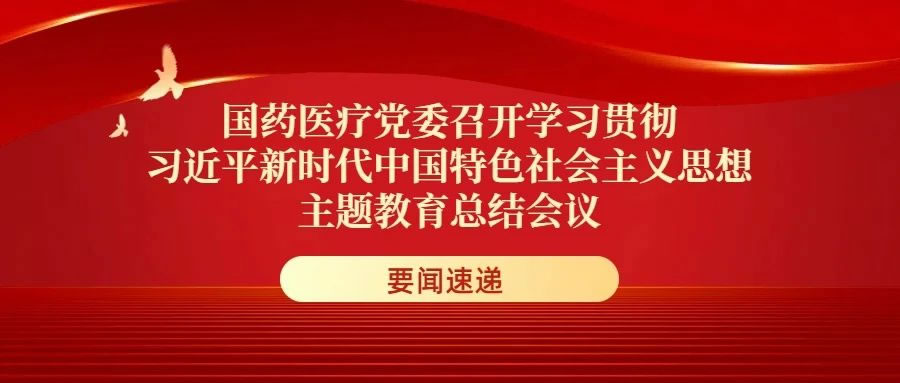 国药医疗党委召开学习贯彻习近平新时代中国特色社会主义思想主题教育总结会议