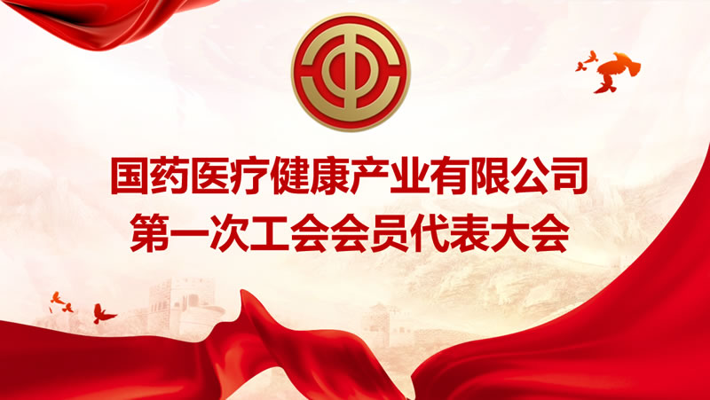 国药医疗健康产业有限公司第一次工会会员代表大会胜利召开！